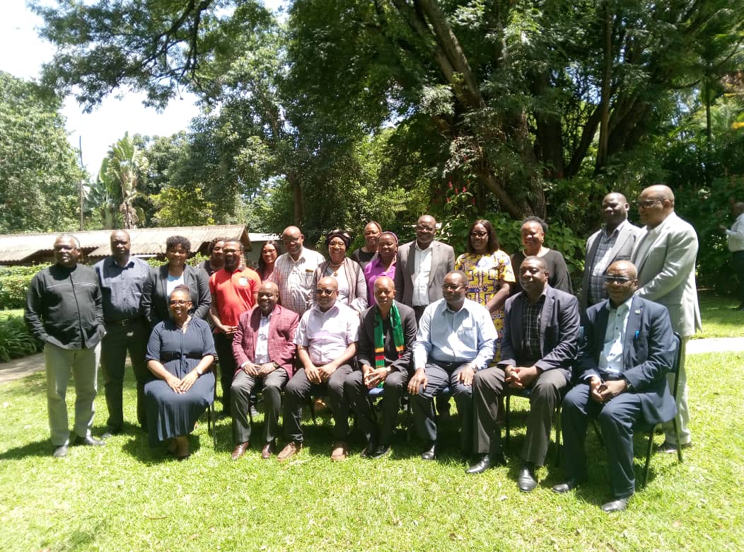 Development of Sustainability Plan for Zambian ACEs